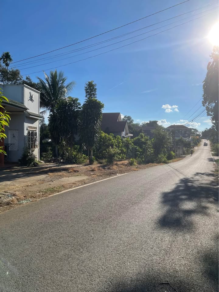 Đất mặt tiền đường Nguyễn Biểu, B'Lao, Bảo Lộc 1600m² giá 5 tỷ - Cơ hội đầu tư hấp dẫn!