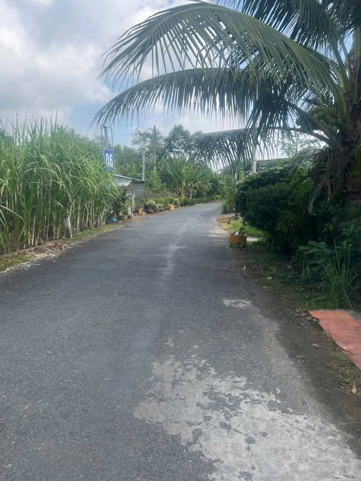 Nhà cấp 4 Hòa Long, Lai Vung 197m² giá 1.1 tỷ - Vị trí đắc địa gần chợ!