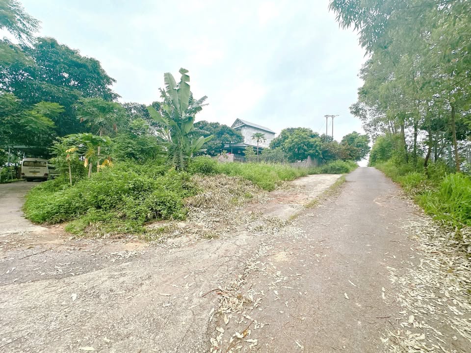 Đất nền khu phố 14, Tiên Kiên, Lâm Thao 180m² - Giá chỉ 900 triệu, đầu tư sinh lời!