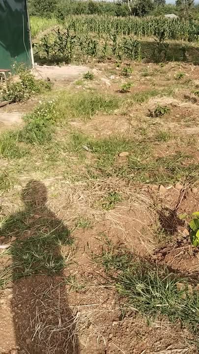 Đất nền Đan Phượng 3600m² giá chỉ 3 tỷ - Sổ đỏ đầy đủ, tiện nghi đầy đủ!