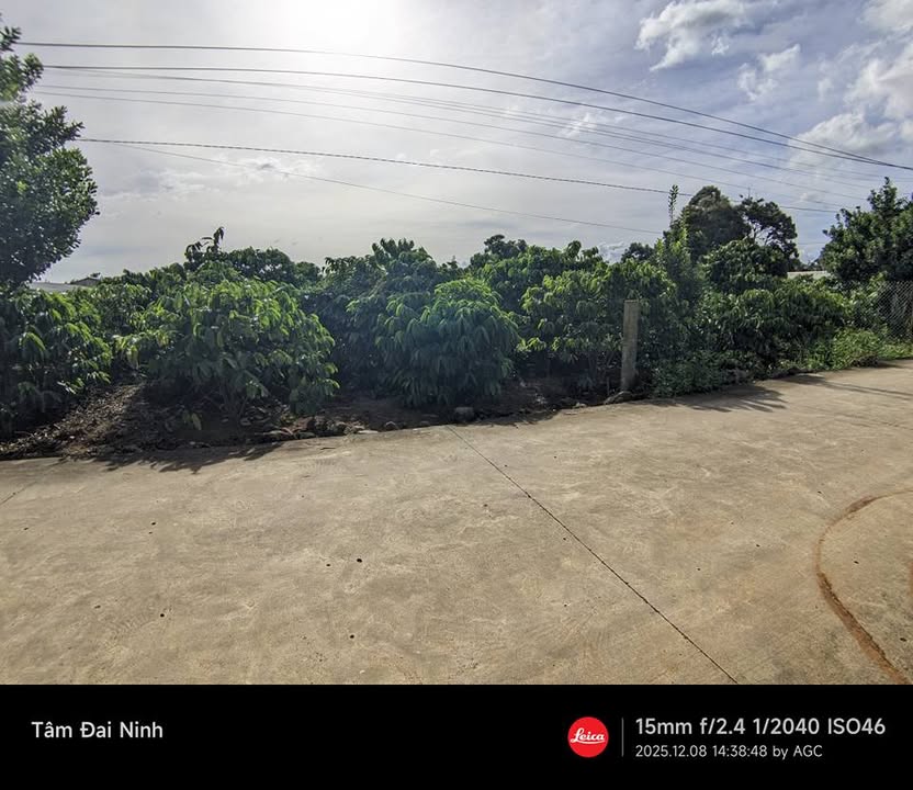 Đất thổ cư 230m² tại Lê Văn Tám, Đức Trọng, Lâm Đồng - Giá chỉ 5.4 tỷ!