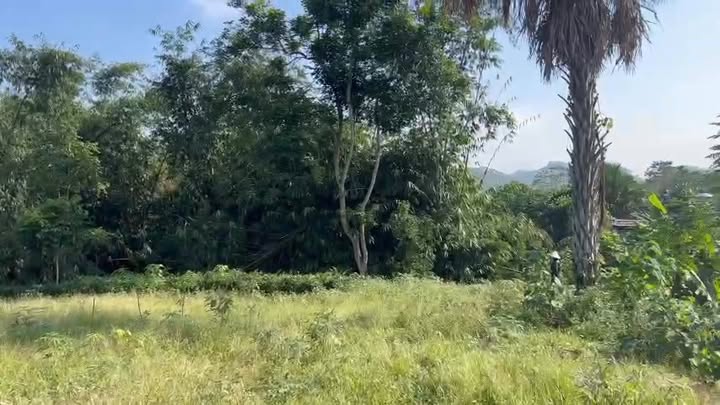 Đất nền 1000m² khu Đào Xá, Thanh Thủy - Giá 800 triệu, đầu tư sinh lời!