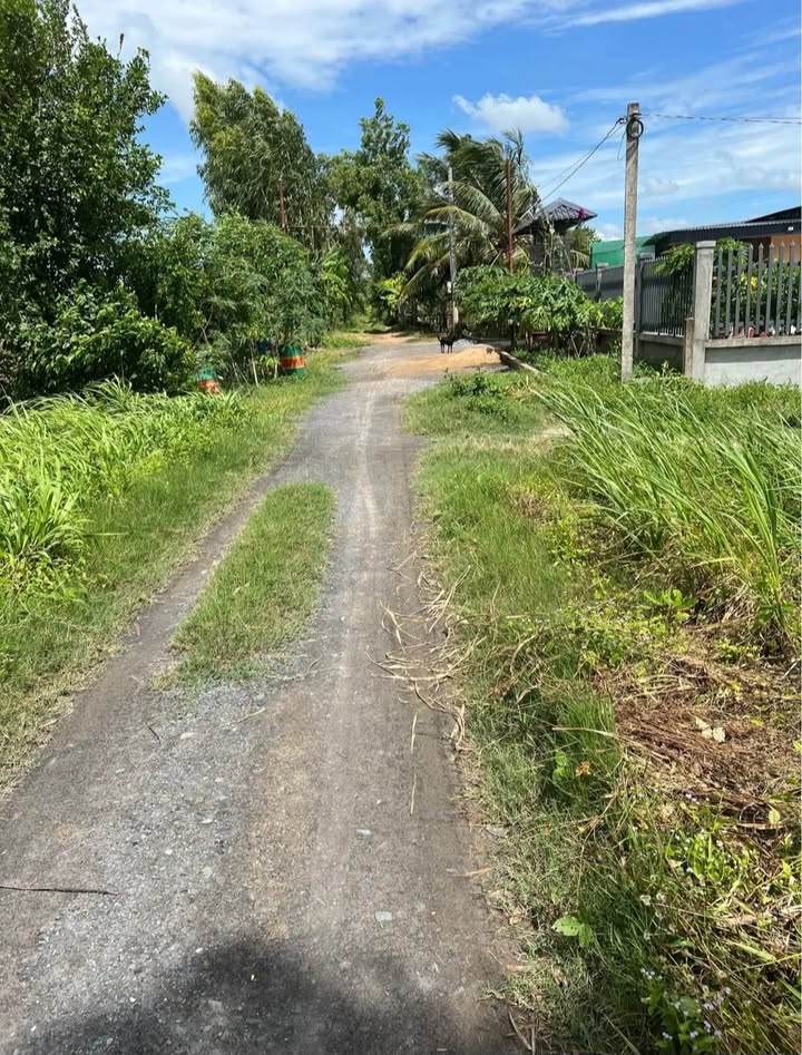 Đất mặt tiền 4400m² tại Hòa Thuận, Châu Thành - Cơ hội vàng cho nhà đầu tư!