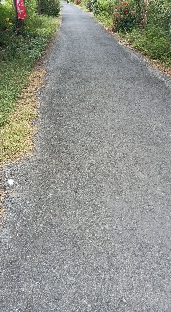 Đất mặt tiền Ấp Giồng Trôm, xã Long Toàn 800m² - Giá chỉ 65 triệu, thương lượng mạnh tay!