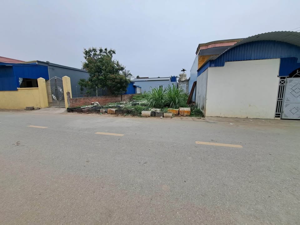 Đất thổ cư mặt đường trục thôn Khôi Vĩ Thượng - Tiên Lãng 90m² giá 1.7 tỷ - Pháp lý rõ ràng!