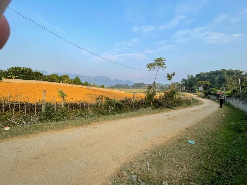 Đất thổ cư Mỹ Hòa, Tân Lạc, Hòa Bình 1200m² giá 1 tỷ - Cơ hội đầu tư tuyệt vời!