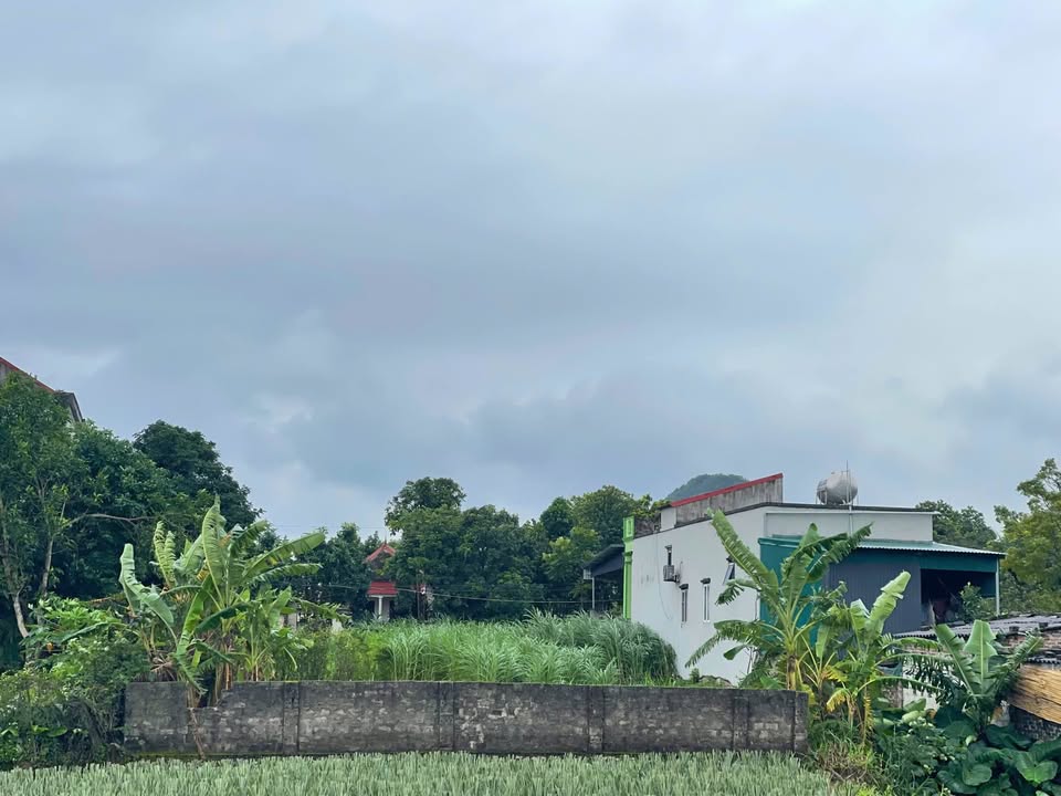 Đất thổ cư Thôn Khe Gồi, Phường Tam Điệp 481m² - Kinh doanh hiệu quả, địa thế đẹp!