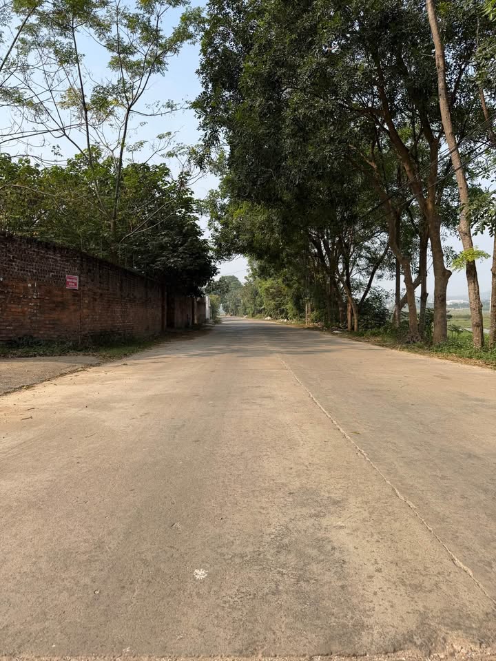 Đất nền Thanh Vân Tam Dương 200m² giá 2 tỷ - Đường rộng thoải mái kinh doanh!