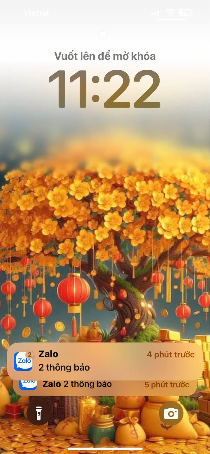 Đất nền xã Tề Lỗ, huyện Yên Lạc 130m² - Gần mặt đường kinh doanh sầm uất!