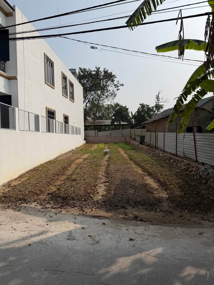 Đất nền 155m² thôn Cõi, xã Đạo Tú, huyện Tam Dương - Giá chỉ 2.48 tỷ VND!