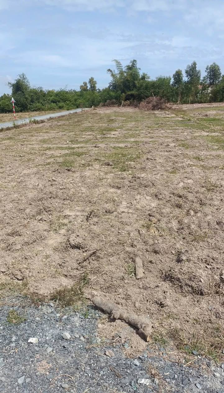 Đất nền 150m² xã Long Chữ, huyện Bến Cầu, Tây Ninh - Giá chỉ 250 triệu, sổ hồng chính chủ!