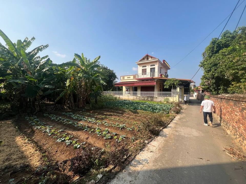 Đất nền Lục Nam – Bắc Giang 104m² giá chỉ 1 tỷ - Cơ hội đầu tư không thể bỏ lỡ!