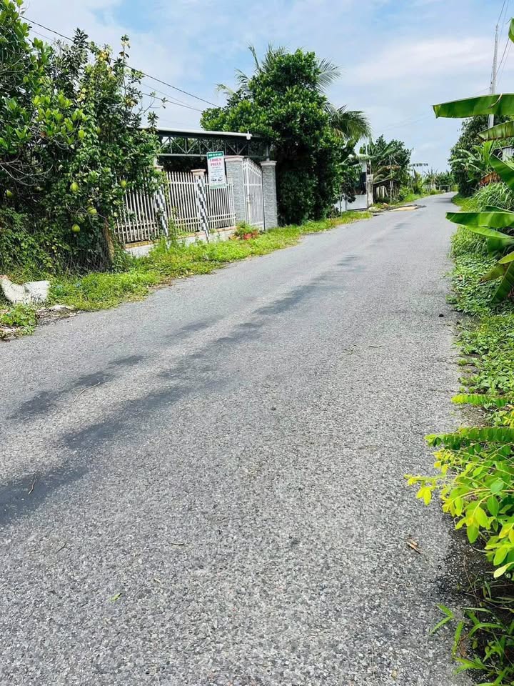 Đất nền thổ cư Cái Vồn, Bình Minh 125m² giá tốt - Mặt tiền lộ nhựa!