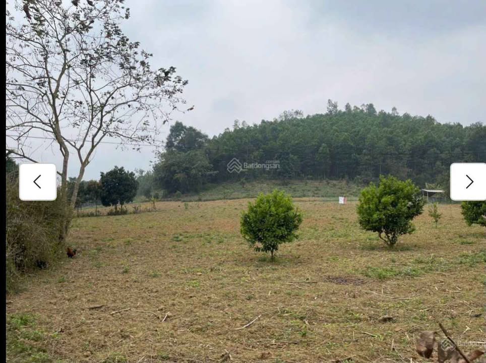 Đất thổ cư Tân Lạc 1982m² giá thỏa thuận - Lô góc 2 mặt tiền đẹp hoàn hảo!