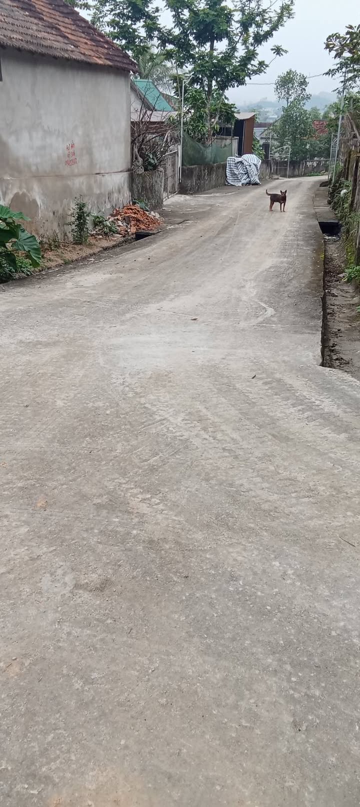 Đất nền xóm 11 Nghi Lâm 230m² giá chỉ 400 triệu - Cơ hội đầu tư hấp dẫn!