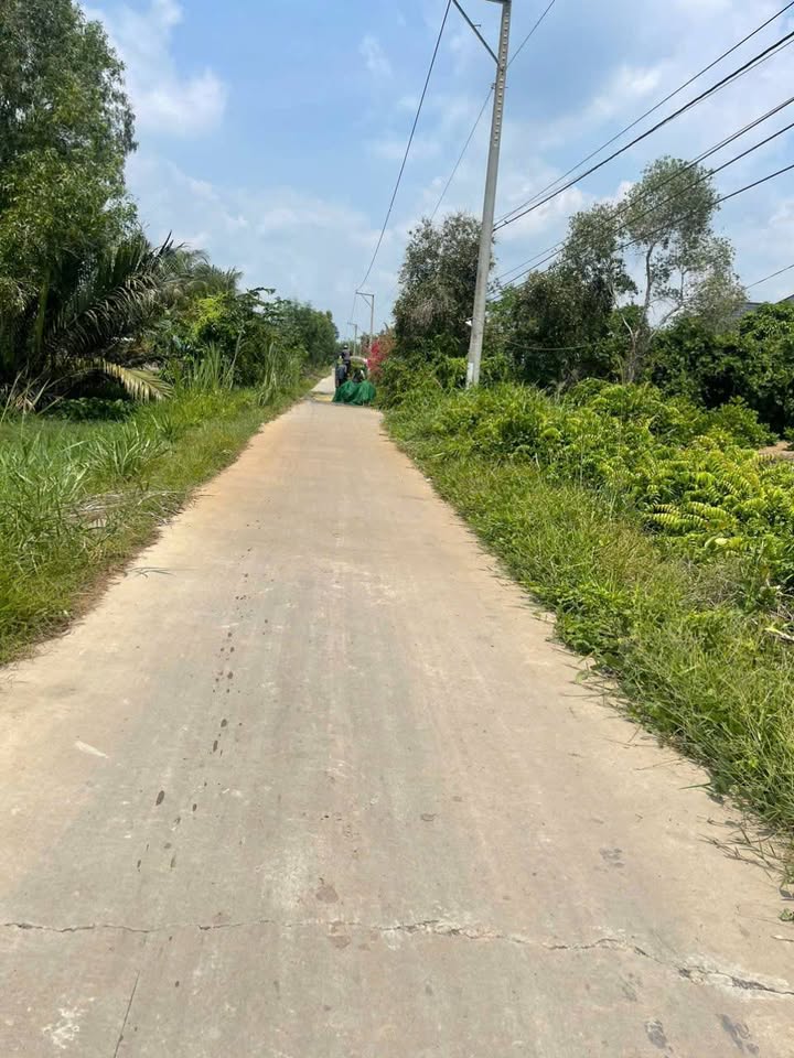 Đất vườn 1000m² xã Tân Lý Đông, Tiền Giang - Giá 600 triệu, thích hợp đầu tư!