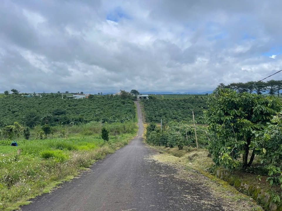 Đất nền Lộc Quảng, Bảo Lâm 135m² giá 500 triệu - Pháp lý rõ ràng, đầu tư sinh lời!