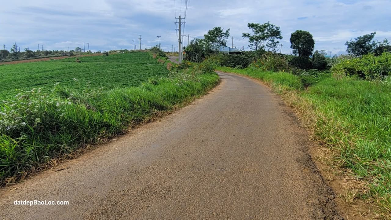 Đất nền mặt tiền đường Nguyễn Huệ, Bảo Lộc 1121m² giá 1.8 tỷ - Cơ hội đầu tư tuyệt vời!