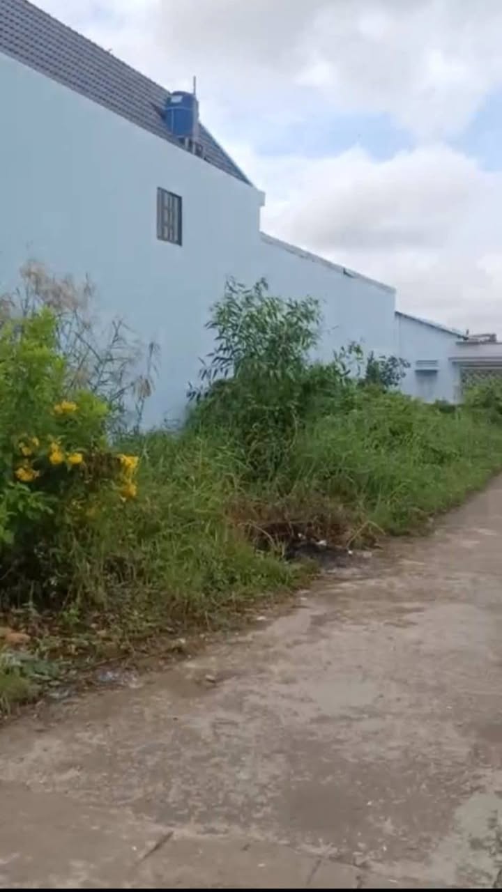 Đất thổ cư Nhị Thành Thủ Thừa 247.5m² giá 1.4 tỷ - Tiềm năng đầu tư lớn!