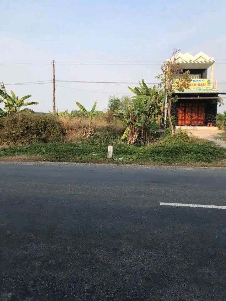 Đất mặt tiền đường TL818, xã Tân Thành, Thủ Thừa, 80m² giá 1,1 tỷ - Cơ hội đầu tư tuyệt vời!