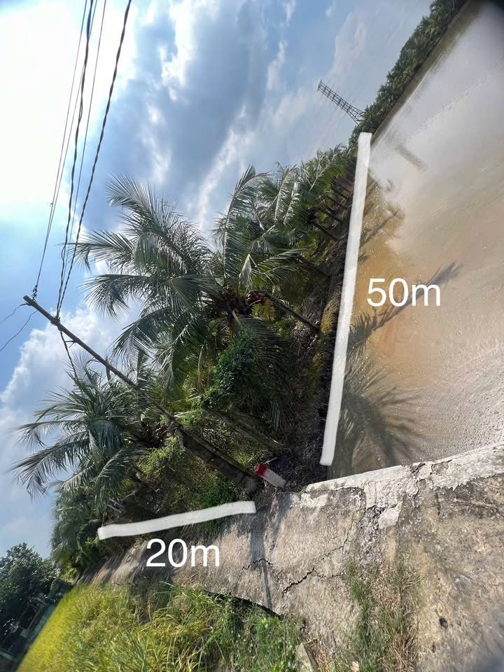 Đất nông nghiệp Nhựt Chánh 1000m² giá 850 triệu - Đầu tư sinh lời lý tưởng!