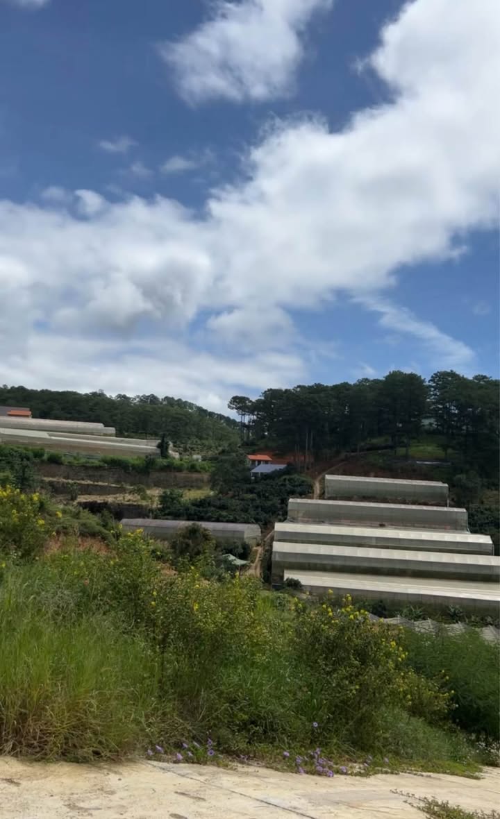 Đất nền phường Xuân Trường Đà Lạt 1187m² giá 4.5 tỷ - View thoáng đẹp, đầu tư sinh lời!