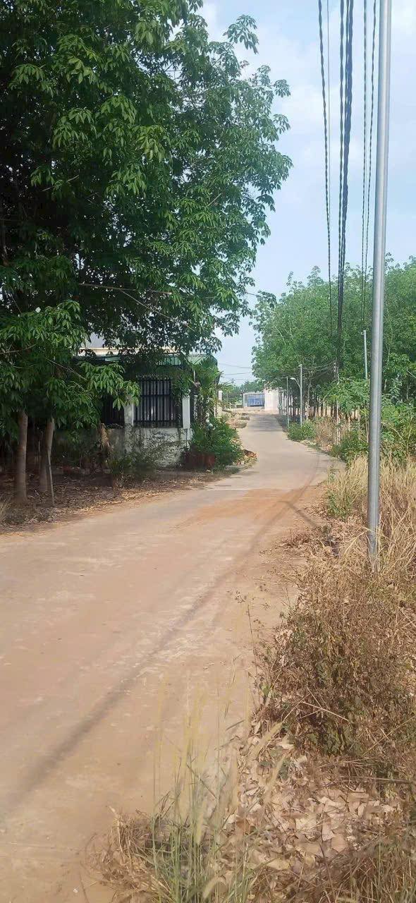 Đất nền 1.1 sào tại khu phố 3, phường Đồng Xoài - Giá chỉ 1.4 tỷ!
