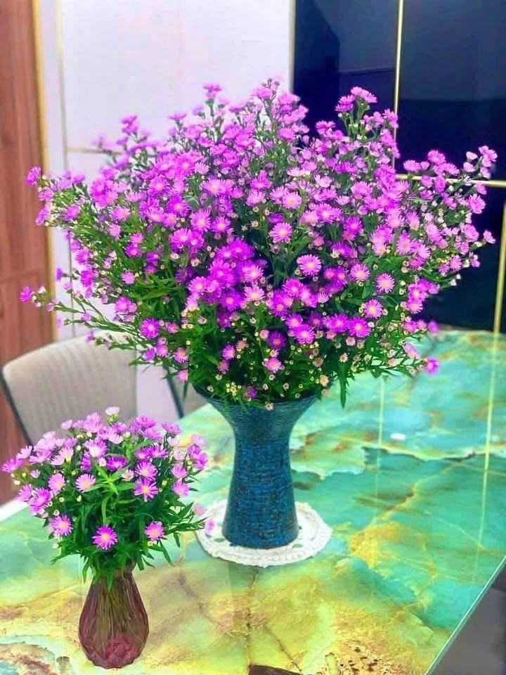 Đất nền Phú Riềng 8m² giá 200 triệu - Mặt tiền đường nhựa DT741