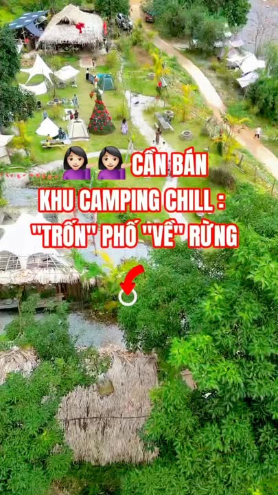 Đất nền Đồng Lâm, Hạ Long 850m² giá 7 tỷ - Cơ hội đầu tư camping hấp dẫn!