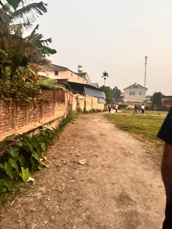 Đất thổ cư Yên Bình Thạch Thất 80m² giá chỉ 500 triệu - Cơ hội đầu tư hiếm có!