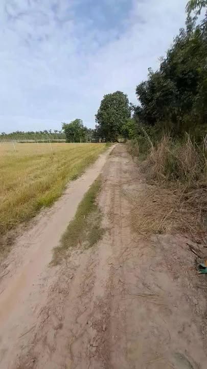 Đất nền 24000m² ấp Vịnh, An Cơ, Châu Thành - Giá 2 tỷ, thuận tiện đầu tư!