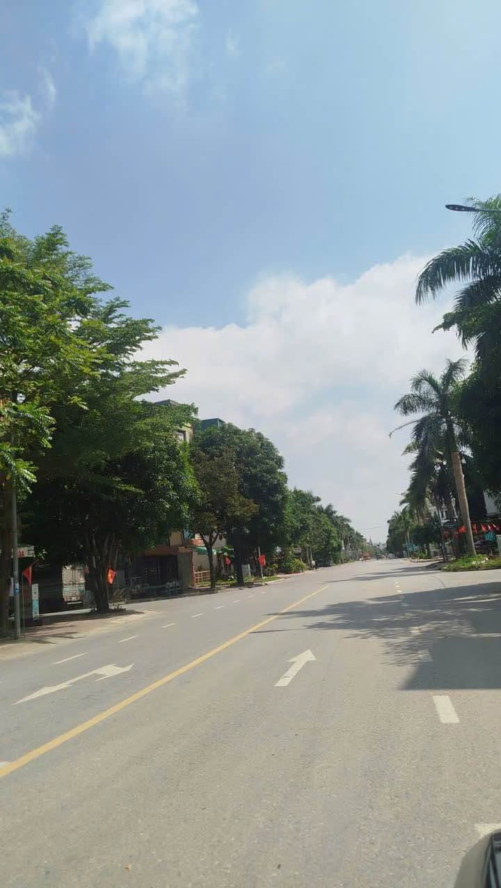 Đất nền Hàng Cau, Hàm Rồng 80m² giá 6 tỷ - Vị trí đắc địa ngay trung tâm!