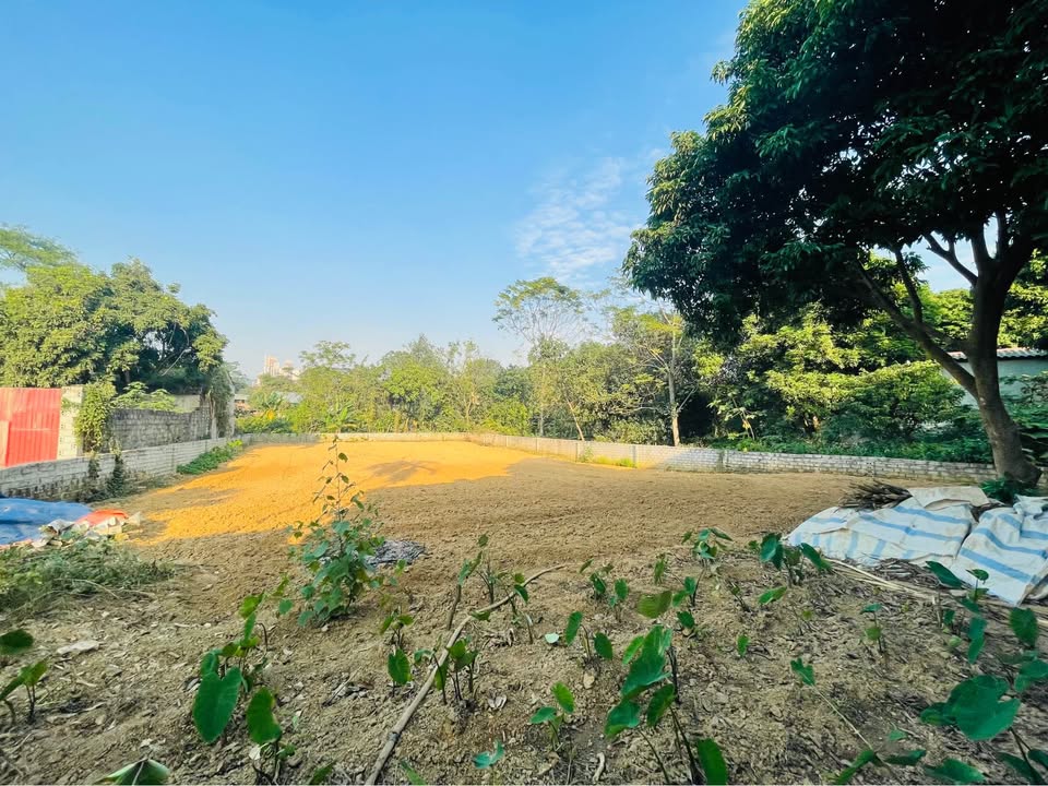 Đất nền Bỉm Sơn, Thanh Hóa 90m² giá chỉ 320 triệu - Cơ hội đầu tư hấp dẫn!
