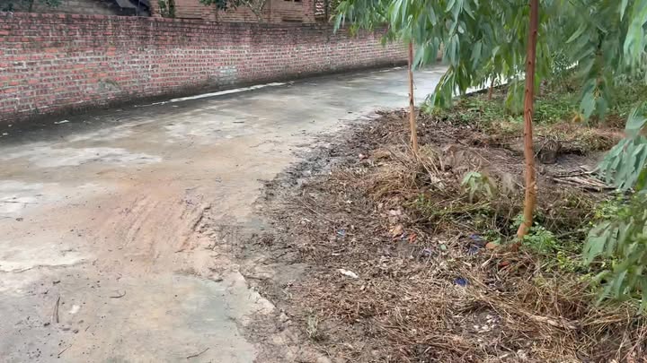 Đất Farm 3700m² tại Thôn Cẩm Bình, Sông Lô - Giá chỉ 1.295 tỷ VND