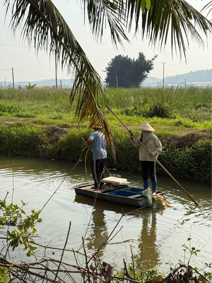 Đất đẹp 76m² tại Văn Xá, Quốc Tuấn, An Dương giá 870 triệu - Đường ô tô vào tận nơi!