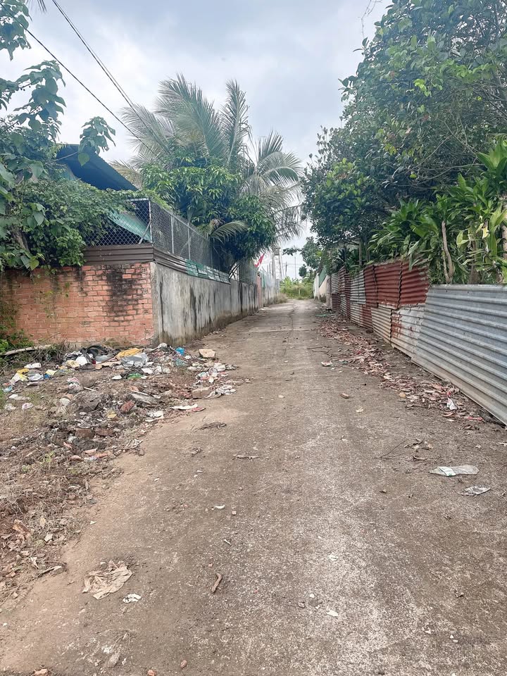 Lô đất nông nghiệp hẻm 293 Nguyễn Thị Định, 100m² giá 205 triệu - Pháp lý rõ ràng, hướng Đông mát mẻ!