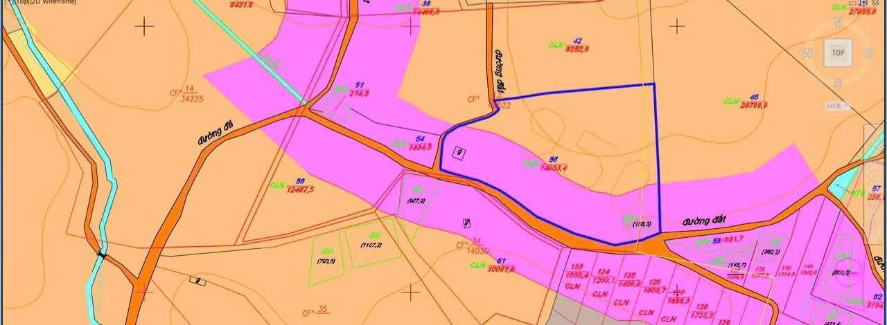 Đất thổ cư Lộc Nam Bảo Lâm 15.000m² giá 4.95 tỷ - Đầu tư sinh lời nhanh!