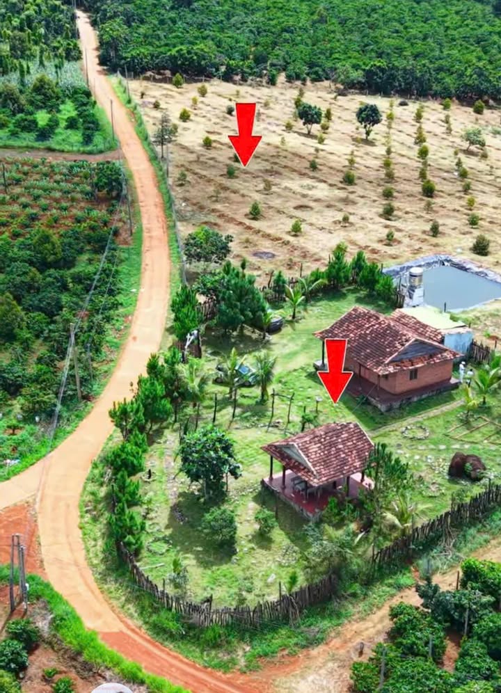 Đất nền Đắk Nia 520m² giá 350 triệu - Cơ hội đầu tư hấp dẫn!