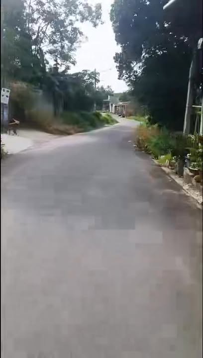 Đất thổ cư An Điền Bến Cát 165m² giá 1.05 tỷ - Cơ hội đầu tư hiếm có!