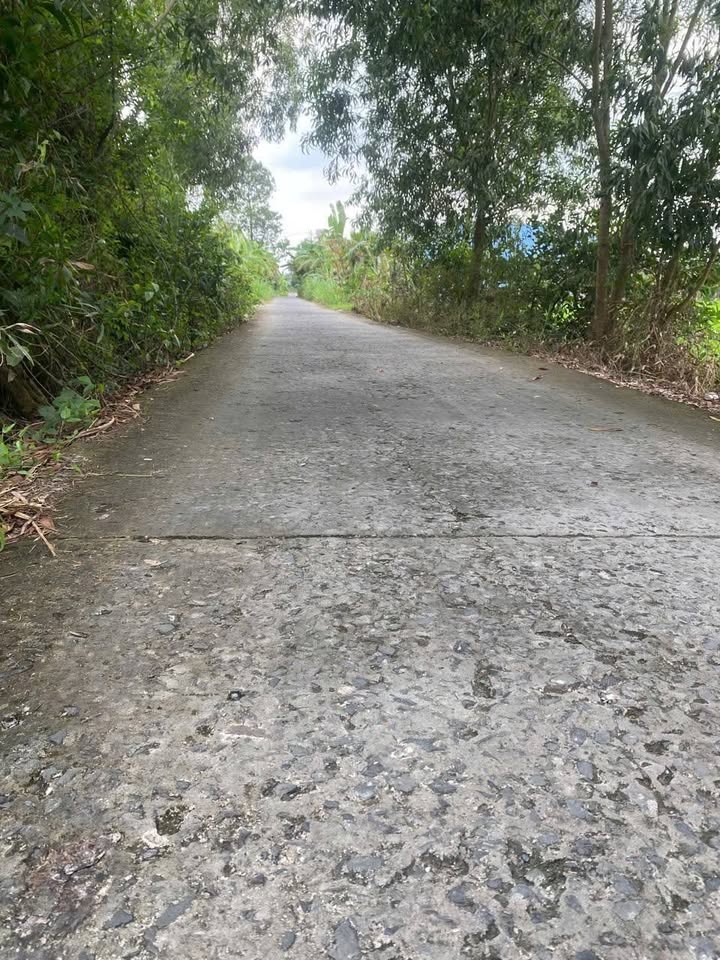 Đất thổ cư ấp 5, xã Mỹ Thạnh, 423m² giá 1 tỷ - Cơ hội đầu tư tuyệt vời!