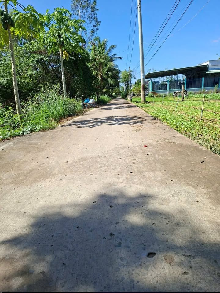 Nhà riêng Gò Công Đông 290.4m² giá 600 triệu - View kênh Hòa Bình tuyệt đẹp!