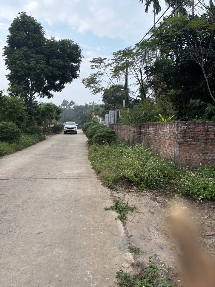 Đất thổ cư Thôn Mít Mái – Xã Yên Bài 466m² giá 4 tỷ - Đầu tư sinh lời!