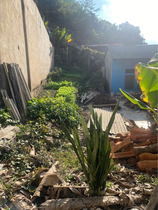 Đất nền chính chủ phường Quyết Thắng 90m² chỉ 300 triệu - Cơ hội đầu tư tuyệt vời!