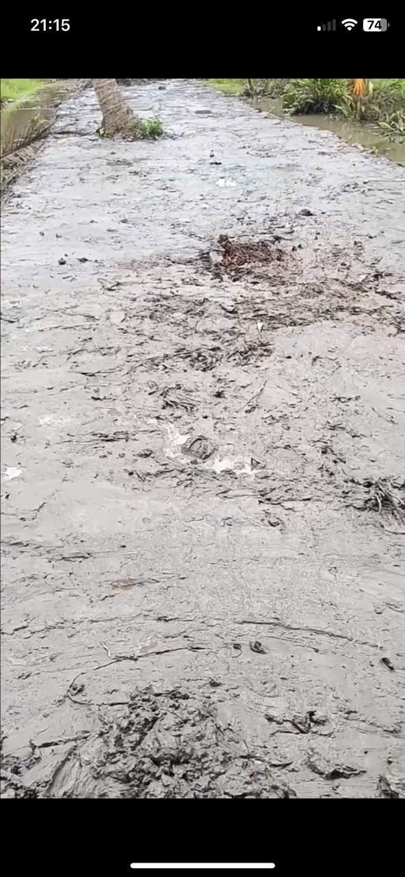 Đất thổ cư Phong Mỹ Giồng Trôm 1000m² giá 499 triệu - Đầu tư sinh lời dễ dàng!