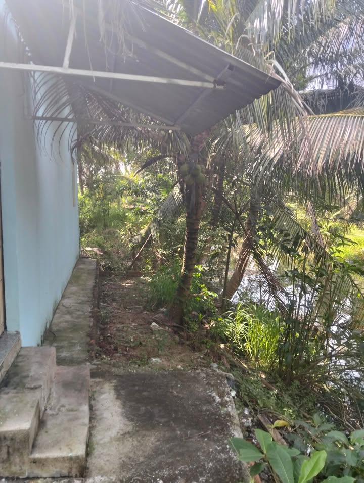 Đất nền Tân Thanh Giồng Trôm 300m² giá chỉ 1.2 tỷ - Đầu tư sinh lời tuyệt vời!