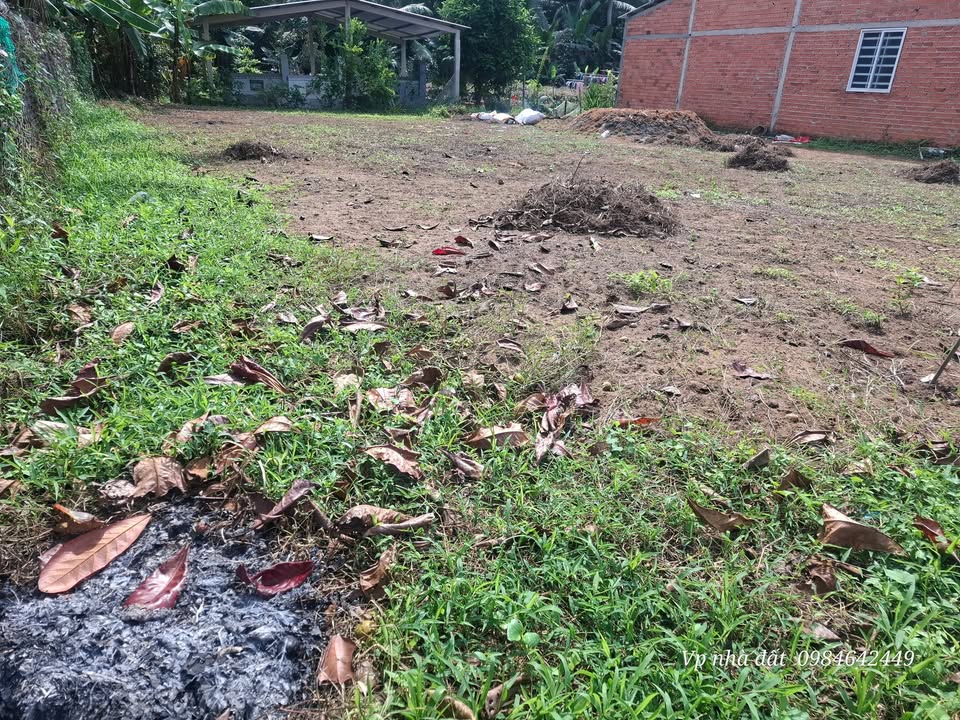 Đất nền Phước Mỹ Trung, Mỏ Cày Bắc, 150m² giá 580 triệu - Cơ hội đầu tư lý tưởng!