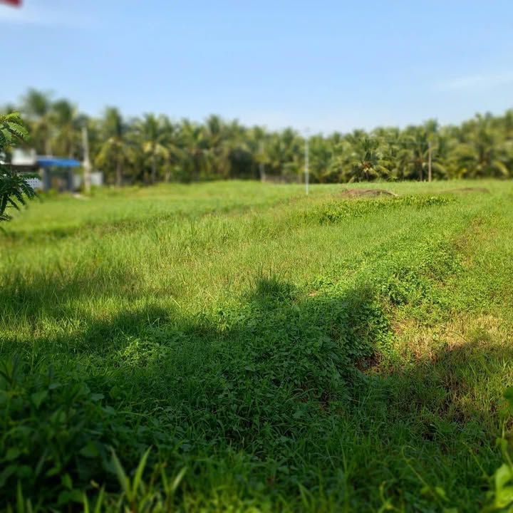 Đất nền mặt tiền lộ Bờ Dừa, phường An Hội, 173m² giá 680 triệu - Cơ hội đầu tư sinh lời!