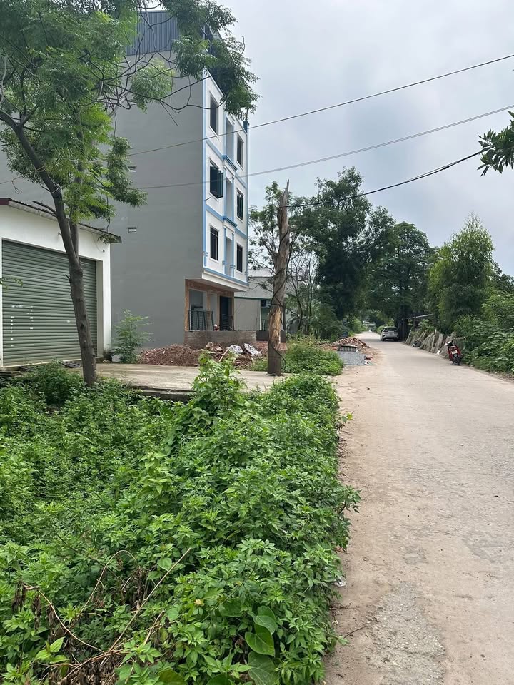 Bán lô đất 100m² khu Cánh Gà, Nội Hoàng, Bắc Giang - Đầu tư sinh lời tuyệt vời!