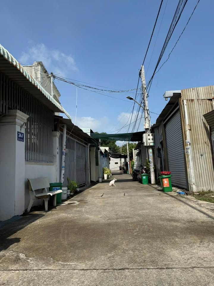 Đất nền hẻm 34 Bắc Sơn, Vũng Tàu 60m² giá 1.45 tỷ - Sổ riêng sang tên ngay!