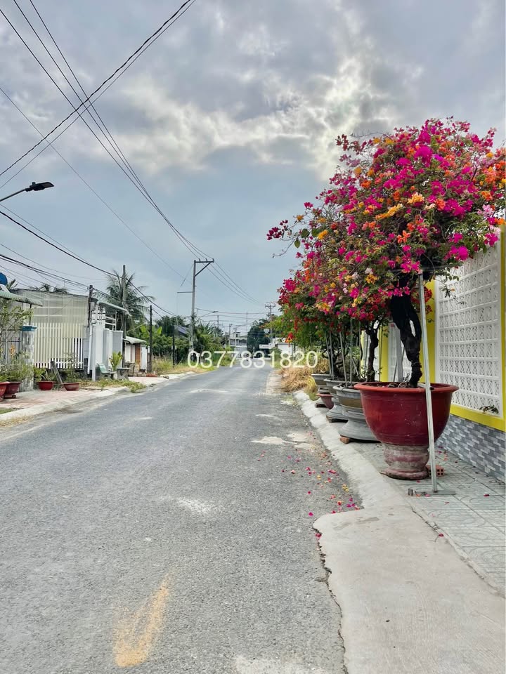 Đất mặt tiền tại Trà Vinh 125m² giá 1.35 tỷ - Cơ hội đầu tư tuyệt vời!